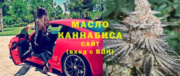 шишки Бикин