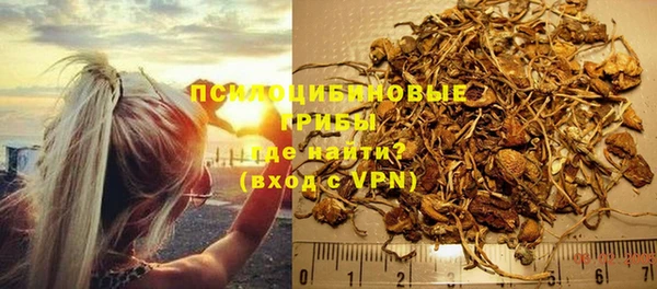шишки Бикин