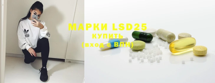 шишки Бикин