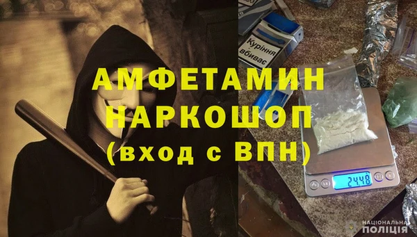 шишки Бикин
