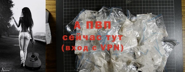 прущие грибы Мегион