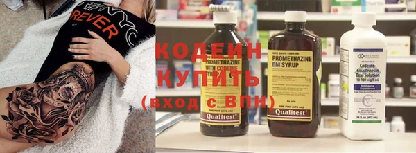 шишки Бикин