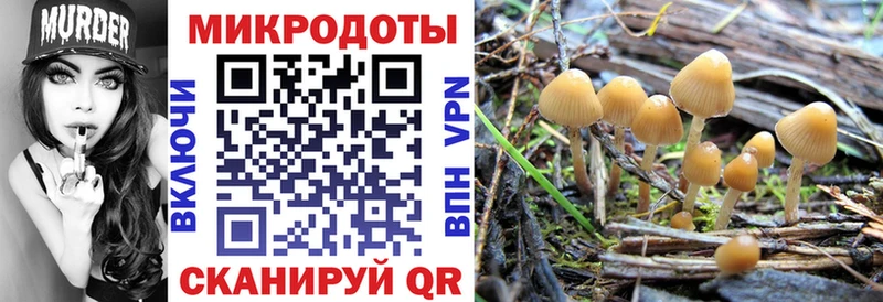 Псилоцибиновые грибы мухоморы  MEGA ссылки  Тобольск  наркота 