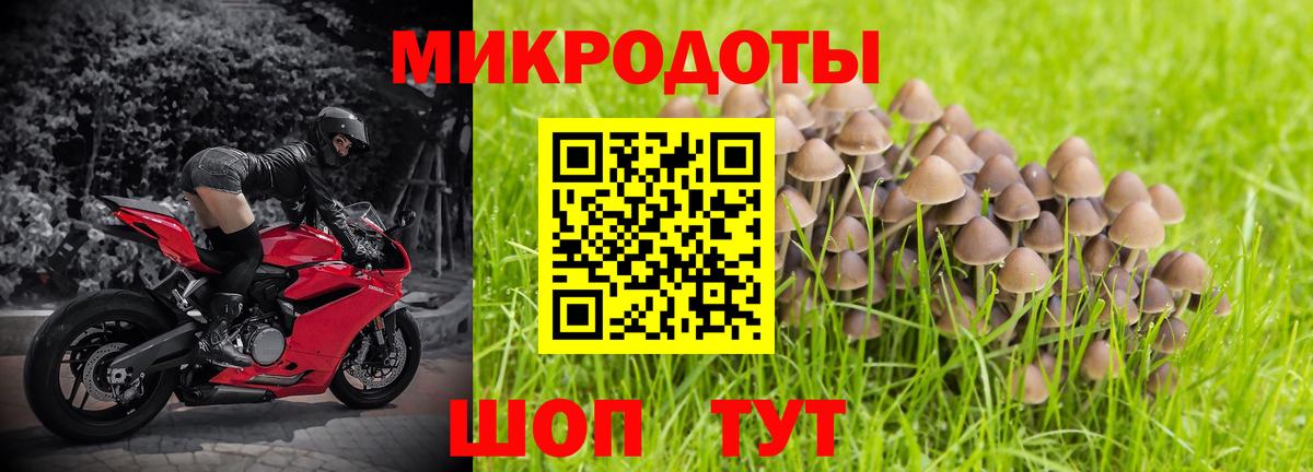 Псилоцибиновые грибы Cubensis  Вход с VPN  Галлюциногенные грибы ЛСД  Тобольск 